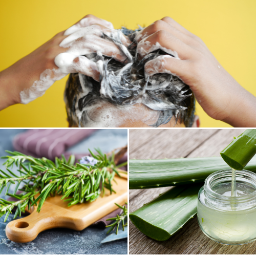 Haz tu propio Shampoo con Romero para el crecimiento del cabello